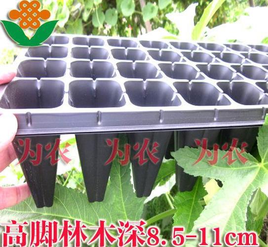 請注意:本圖片來自臺州市路橋為農(nóng)篩網(wǎng)廠提供的苗木穴盤,高腳林木育苗