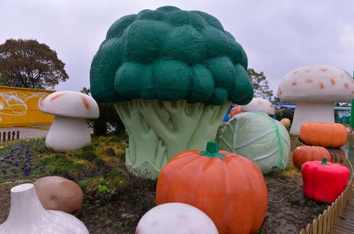 火爆的 向往的生活 原來上海就有 關(guān)鍵還免費 你知道在哪嗎