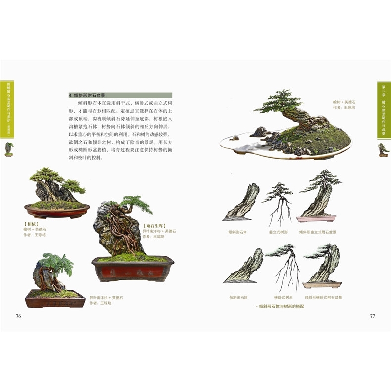 圖解附石盆景+山水盆景+樹木盆景制作與養護(彩圖版) 盆景制作教材入門盆景書籍圖書大全盆栽造型設計圖盆景造型設計書 入門 教程