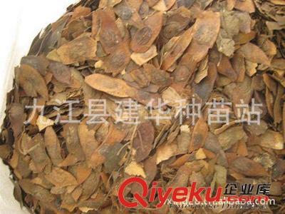 供應 降香黃檀種子 優質木材 種子 黃花梨種子-九江縣建華種業提供供應 降香黃檀種子 優質木材 種子 黃花梨種子的相關介紹、產品、服務、圖片、價格九江縣建華種業、林木種子;工程種子;園林綠化種子;花卉種子;珍稀樹種;紫玉蘭種子;羅漢松種子;黃山欒種子;小葉雞爪槭種子;桂花種子;濕地松種子;雪松種子;楠木種子;南方紅豆杉種子;櫸樹種子;杉木種子;皂角種子;楊梅種子;馬尾松種子;藍花楹種子