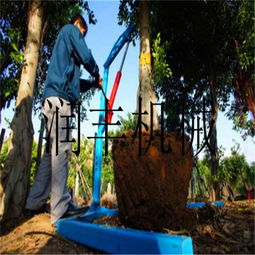 熱銷挖樹機 大馬力挖樹機型號 濟寧挖樹機圖片