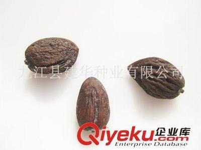 供應木蘭科種子 觀光木 香花木香木楠、宿軸木蘭 園林綠化種子-九江縣建華種業提供供應木蘭科種子 觀光木 香花木香木楠、宿軸木蘭 園林綠化種子的相關介紹、產品、服務、圖片、價格九江縣建華種業、林木種子;工程種子;園林綠化種子;花卉種子;珍稀樹種;紫玉蘭種子;羅漢松種子;黃山欒種子;小葉雞爪槭種子;桂花種子;濕地松種子;雪松種子;楠木種子;南方紅豆杉種子;櫸樹種子;杉木種子;皂角種子;楊梅種子;馬尾松種子;藍花楹種子