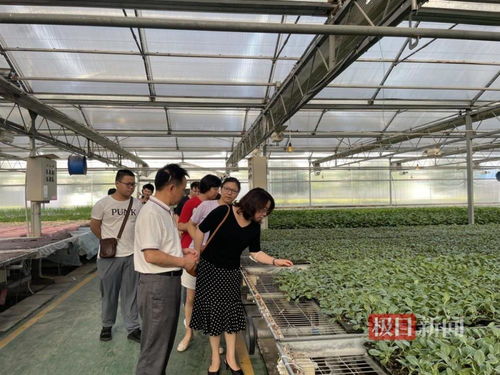 大學師生走進工廠,打通創意到產品的 最后一公里