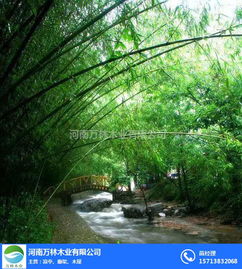 開封竹木地板廠家電話 開封竹木地板 萬林木結構廠家