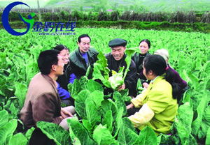 保持先進性 建設新農村 全省農村先進性教育活動學習動員階段掠影