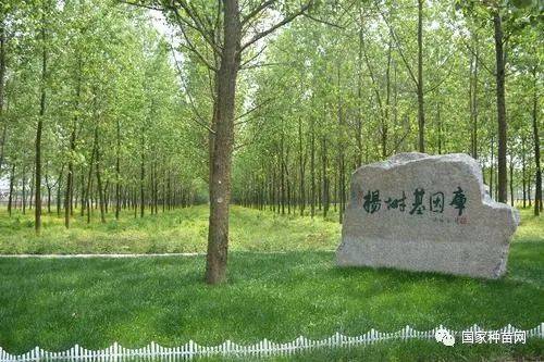 山東省林木種質(zhì)資源中心獲批博士后科研工作站