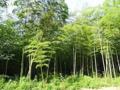 小長(zhǎng)假最全馬鞍山出游攻略,爬山、溫泉、公園&hellip;想怎么嗨就怎么嗨!