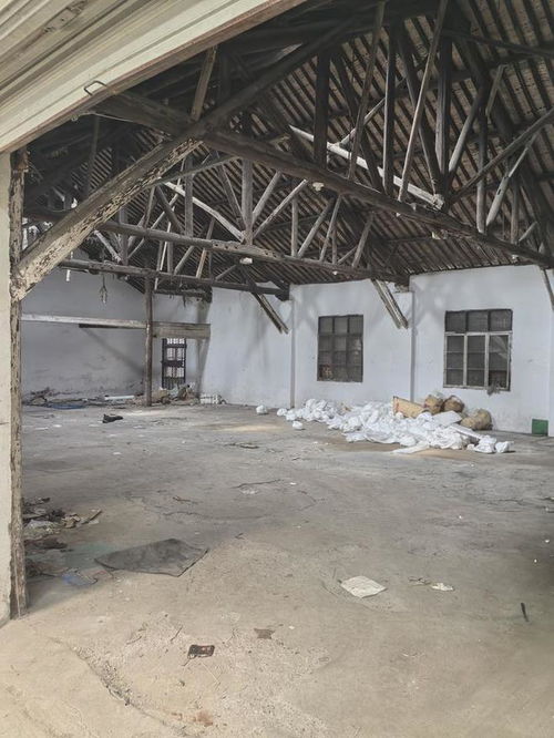 寧波香飄飄食品破產(chǎn),工廠被拍賣(mài),被人1203萬(wàn)高價(jià)買(mǎi)下