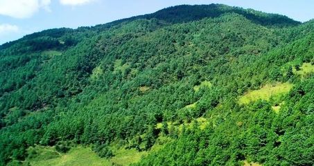 科教無(wú)人機(jī)