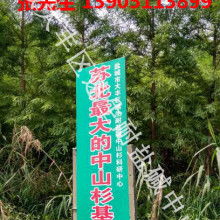 鹽城市大豐區(qū)南陽(yáng)鎮(zhèn)錦林花木專業(yè)合作社