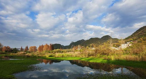 多措并舉助力生態(tài)環(huán)境修復(fù) 助推貴陽(yáng)環(huán)城林帶提質(zhì)升級(jí)