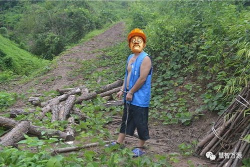 萬源石塘鎮一村民濫伐林木,承擔刑事責任后還要