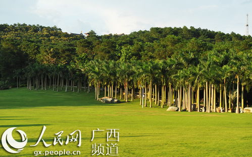 林木蔥郁青山秀，百花齊放青秀山